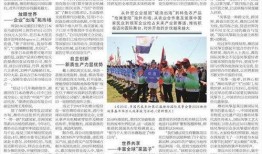 山东最新爆料消息新闻,揭秘重大事件背后真相